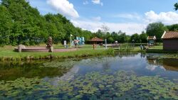 Wasserpark, Hasselt, Hesel