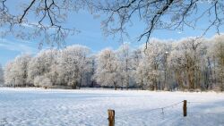Evenburgpark, Schnee, Winter